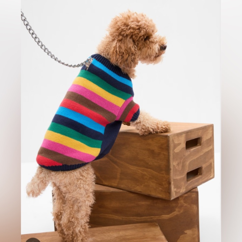 GAP Vibrant Striped Dog Sweater M/L